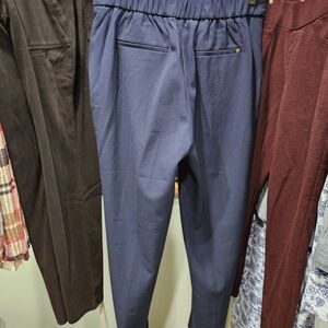 Banana Republic Dark Blue Pants